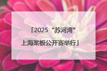 2025“苏河湾”上海桨板公开赛举行